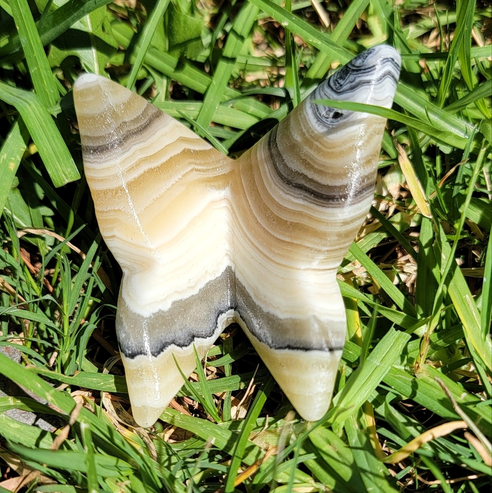 NEW 2.2" x 2.34" x 75g ORANGE CALCITE 3D BUTTERFLY